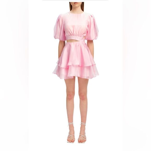 Bardot Enya Organza Mini Dress - Picture 1 of 6